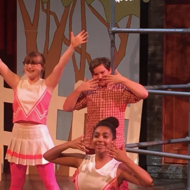Freckleface Strawberry (2018) Upper Darby Summer Stage