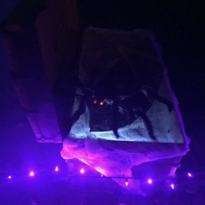 The jumping spider This a store-bought prop but I hid it in an old trunk, covered it with spider webs and added lighting. I made a large step pad to use as a trigger and connected it to the spider. Trick-or-treaters could not pass by without triggering the prop.