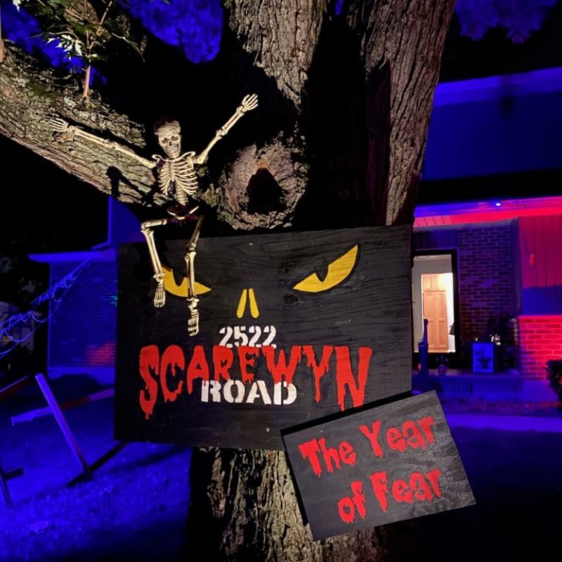 The yard sign Our street is named Berwyn Road and we thought this was a fun, Halloween alternative. The signs are made of plywood and hand painted. The lighting pointing upwards at a steep angle given dramatic look and strong shadows.