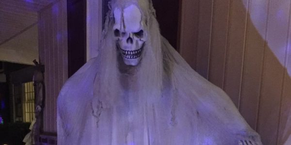 IMG_9996-crop IMG_9996-crop
