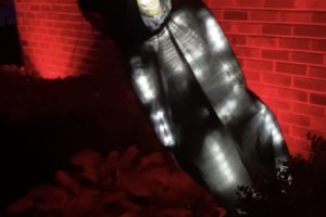 skeleton-video-still