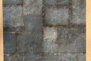 IMG_5441